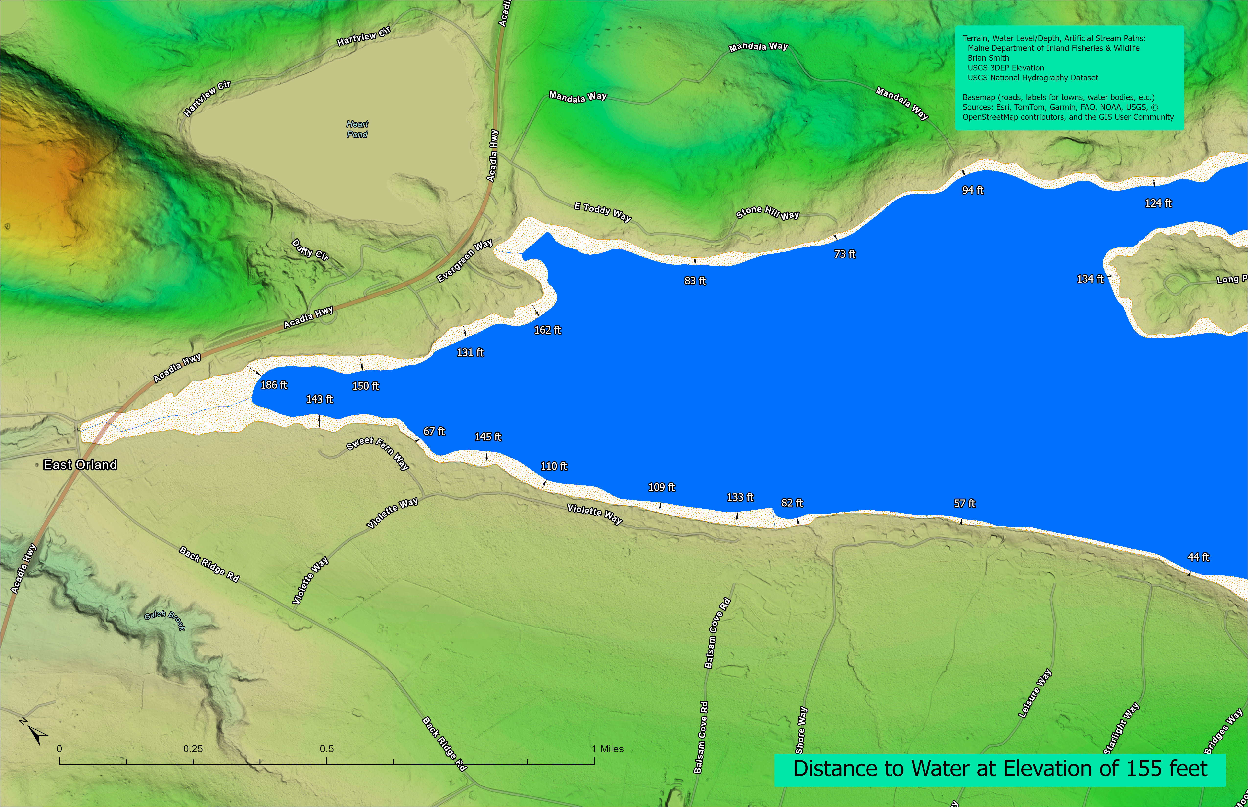 Toddy Pond Distance
       to Shoreline after 8 ft Drop in the Water Level